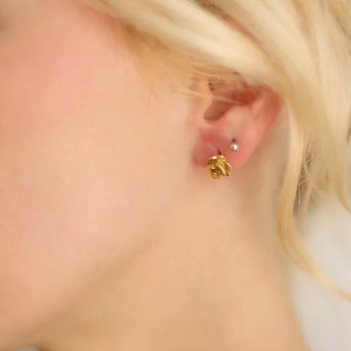 Éclat de Rose – Boucles d’oreilles inoxydables dorées 8 mm